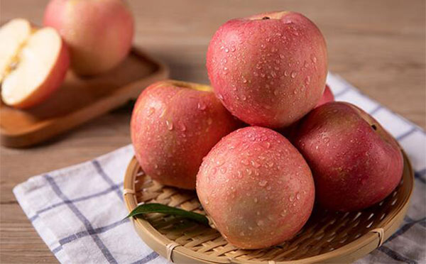 ���ϳ�ƻ������ ƽ��ҹ���ϳ�ƻ��������